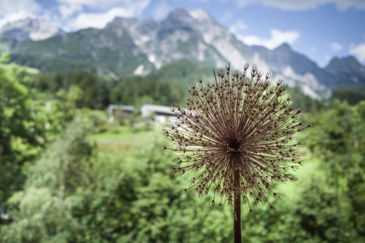 Ferienpension Bierbaumer Leogang Zewnętrze zdjęcie